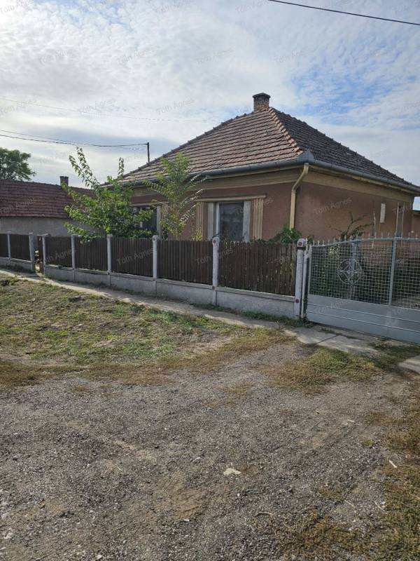 #14852 Abonyban 3 szobás családi ház eladó
