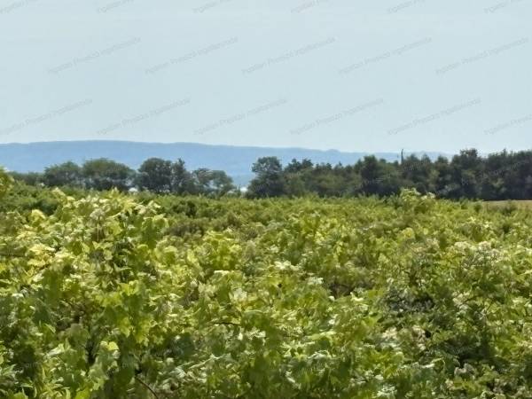 #7560 Eladó balatoni ici pici-, és tájpanorámás külterület Zánkán