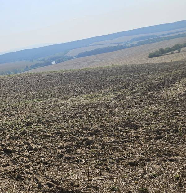 #8438 Eladó külterületi telek Szomoron!