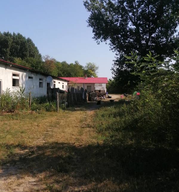 #2243 Lajosmizse külterületén gazdasági épület