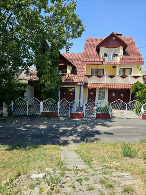 #12039 Különleges, kétgenerációs luxus családi ház Szolnokon a Zagyva-parton