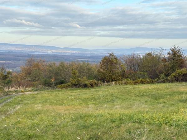 #6827 Eladó egy 2,4 hektáros birtok épülettel lesenceistvándi hegy tetején!