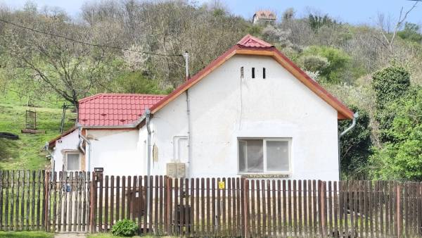 #9631 Tamásiban, erdő melletti 3 szoba + nappalis zártkerti családi ház, nagy telekkel, gyümölcsfákkal eladó!