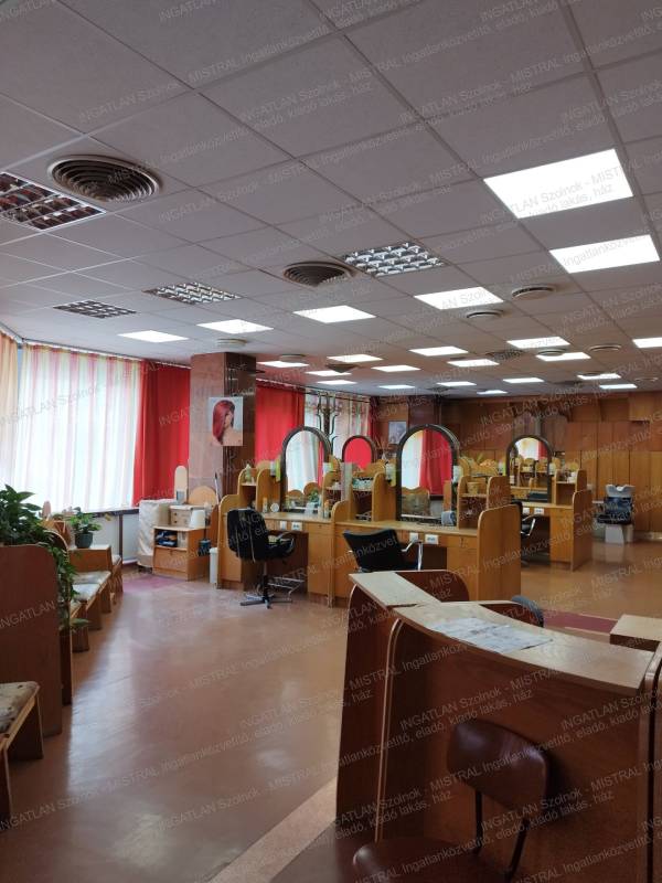 #8690 Belvárosi tágas üzlethelyiség eladó ! 