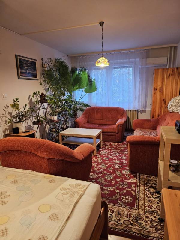 #5876 Szolnokon az Ady Endre úton kis lakás eladó