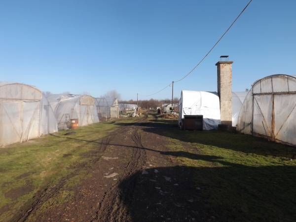 #8813 Mezőgazdasági célú fóliapark vagy telephely eladó! Horgásztó mellett! 