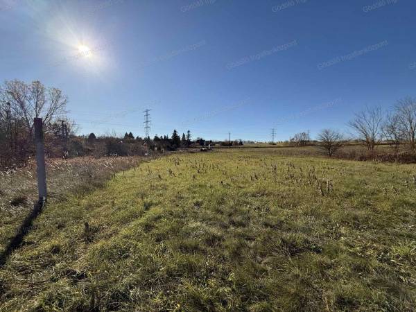 #9028 Eladó külterület Gödöllő