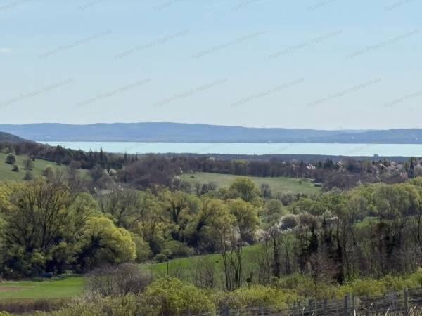#9558 Eladó balatoni panorámás, beépíthető zártkert Balatoncsicsón!