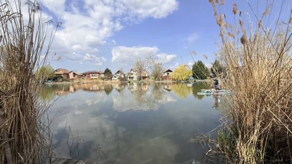 #8830 Eladó nyaraló Dunaharaszti