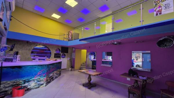 #8919 UTCAI BEJÁRATOS ÜZLETHELYISÉG A KÖRÚTON