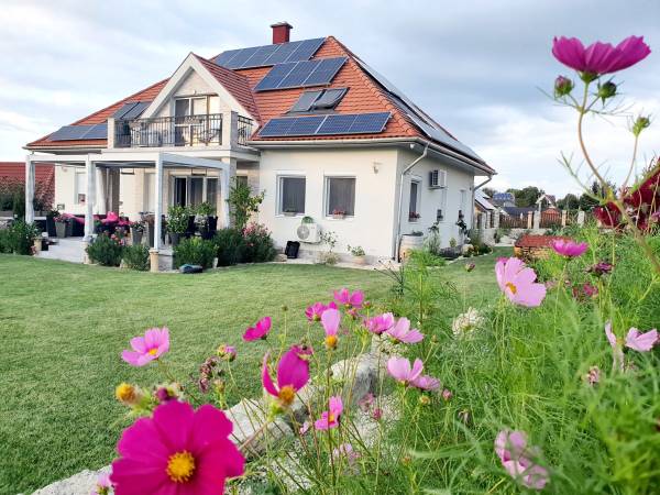 #8370 Mező széli nyugalom