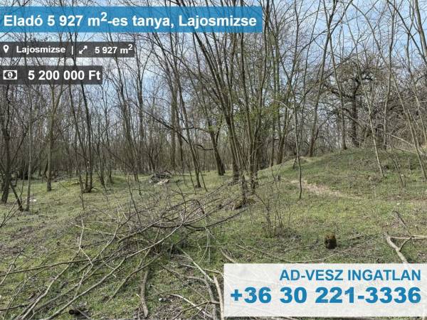 #8735 Tanya+legelő eladó Lajosmizsén