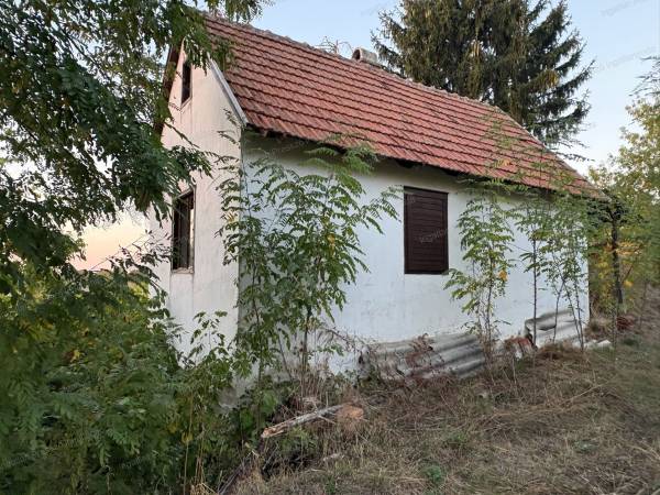 #14909 Eladó 2 szintes, félig szomszéd mentes nyaraló Lengyeltóti zártkerti részén!