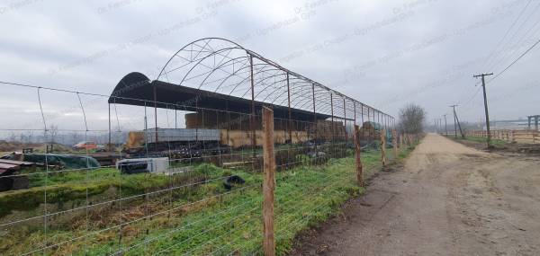 #9383 Eladó 2,172 Ha terület