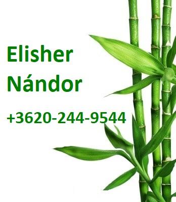 Elisher Nándor